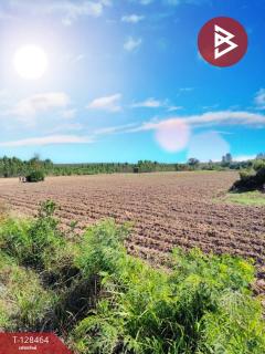 ขายที่ดิน เนื้อที่ 8 ไร่ 37 ตร.วา แปลงยาว ฉะเชิงเทรา-202512111212211765429941904.jpg