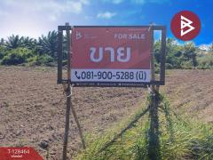 ขายที่ดิน เนื้อที่ 8 ไร่ 37 ตร.วา แปลงยาว ฉะเชิงเทรา-202512111212221765429942616.jpg