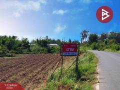 ขายที่ดิน เนื้อที่ 8 ไร่ 37 ตร.วา แปลงยาว ฉะเชิงเทรา-202512111212231765429943189.jpg