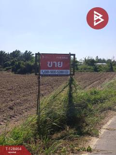 ขายที่ดิน เนื้อที่ 8 ไร่ 37 ตร.วา แปลงยาว ฉะเชิงเทรา-202512111212231765429943744.jpg