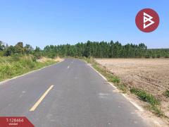 ขายที่ดิน เนื้อที่ 8 ไร่ 37 ตร.วา แปลงยาว ฉะเชิงเทรา-202512111212241765429944310.jpg