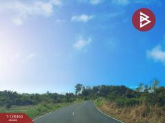 ขายที่ดิน เนื้อที่ 8 ไร่ 37 ตร.วา แปลงยาว ฉะเชิงเทรา-202512111212251765429945139.jpg