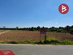 ขายที่ดิน เนื้อที่ 8 ไร่ 37 ตร.วา แปลงยาว ฉะเชิงเทรา-202512111212261765429946213.jpg