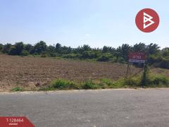 ขายที่ดิน เนื้อที่ 8 ไร่ 37 ตร.วา แปลงยาว ฉะเชิงเทรา-202512111212271765429947188.jpg