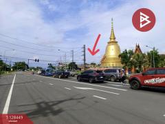 ขายบ้านเดี่ยวพร้อมที่ดิน เนื้อที่ 2 ไร่ 48.5 ตร.วา วังกระแจะ ตราด-202512111305401765433140700.jpg