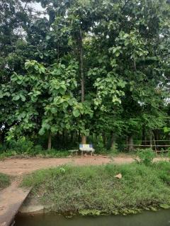 ขายที่ดินเปล่าราคาถูก 1 ไร่ 53 ตารางวา ท่ามะกา กาญจนบุรี