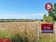 ขายที่ดิน เนื้อที่ 43 ไร่ 2 งาน หนองแสง อุดรธานี-202512111331581765434718964.jpg