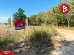 ขายที่ดิน เนื้อที่ 43 ไร่ 2 งาน หนองแสง อุดรธานี-202512111331591765434719893.jpg