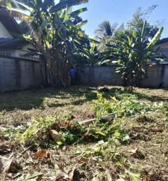 ขายที่ดินเปล่า อำเภอฝาง จังหวัดเชียงใหม่ เนื้อที่ 260 ตารางวา มีประตูรั้ว และกำแพงล้อมรอบแปลง-202512111444291765439069341.jpeg