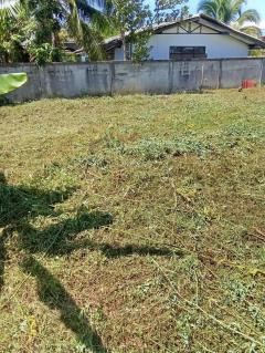 ขายที่ดินเปล่า อำเภอฝาง จังหวัดเชียงใหม่ เนื้อที่ 260 ตารางวา มีประตูรั้ว และกำแพงล้อมรอบแปลง-202512111444291765439069950.jpeg