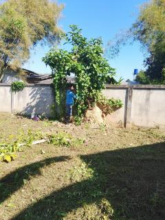 ขายที่ดินเปล่า อำเภอฝาง จังหวัดเชียงใหม่ เนื้อที่ 260 ตารางวา มีประตูรั้ว และกำแพงล้อมรอบแปลง-202512111444311765439071779.jpeg