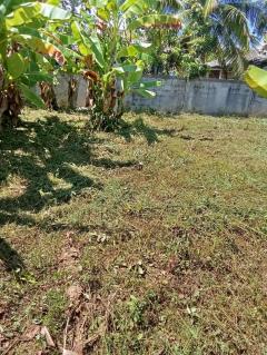 ขายที่ดินเปล่า อำเภอฝาง จังหวัดเชียงใหม่ เนื้อที่ 260 ตารางวา มีประตูรั้ว และกำแพงล้อมรอบแปลง-202512111444321765439072479.jpeg