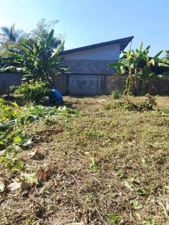 ขายที่ดินเปล่า อำเภอฝาง จังหวัดเชียงใหม่ เนื้อที่ 260 ตารางวา มีประตูรั้ว และกำแพงล้อมรอบแปลง-202512111444341765439074061.jpeg