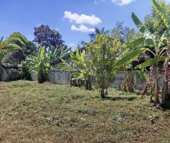 ขายที่ดินเปล่า อำเภอฝาง จังหวัดเชียงใหม่ เนื้อที่ 260 ตารางวา มีประตูรั้ว และกำแพงล้อมรอบแปลง-202512111444341765439074727.jpeg