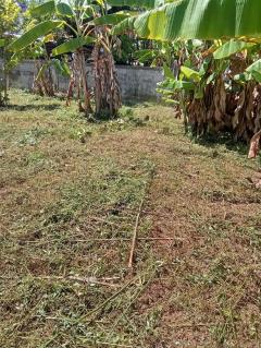 ขายที่ดินเปล่า อำเภอฝาง จังหวัดเชียงใหม่ เนื้อที่ 260 ตารางวา มีประตูรั้ว และกำแพงล้อมรอบแปลง-202512111444351765439075431.jpeg