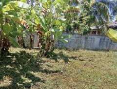 ขายที่ดินเปล่า อำเภอฝาง จังหวัดเชียงใหม่ เนื้อที่ 260 ตารางวา มีประตูรั้ว และกำแพงล้อมรอบแปลง-202512111444361765439076753.jpeg