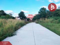 ขายที่ดิน เนื้อที่ 52 ตร.วา ปากช่อง นครราชสีมา-202512111452081765439528914.jpg