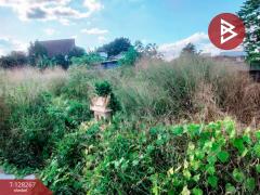 ขายที่ดิน เนื้อที่ 52 ตร.วา ปากช่อง นครราชสีมา-202512111452101765439530042.jpg