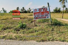 ที่ดินเปล่า เนื้อที่ 33-0-38 ไร่ ซอยสันตินคร ใกล้หมู่บ้านศิริวรรณ ถนนเพชรเกษม ตำบลอ่าวน้อย อำเภอเมืองประจวบคีรีขันธ์ ประจวบคีรีขันธ์-202512111505031765440303194.jpg