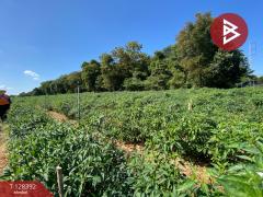 ขายที่ดิน เนื้อที่ 8 ไร่ 30 ตร.วา นิคมสงเคราะห์ อุดรธานี