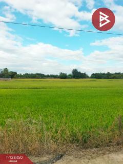 ขายที่ดิน เนื้อที่ 21 ไร่ 2 ตร.วา บึงสามพัน เพชรบูรณ์