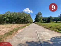 ขายที่ดิน เนื้อที่ 3 งาน 28 ตร.วา นิคมสงเคราะห์ อุดรธานี-202512111639111765445951880.jpg