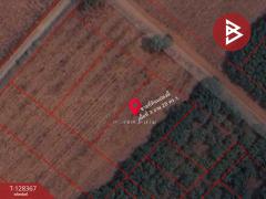 ขายที่ดิน เนื้อที่ 3 งาน 28 ตร.วา นิคมสงเคราะห์ อุดรธานี-202512111639141765445954576.jpg