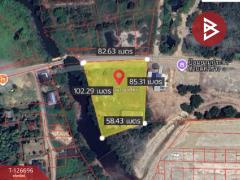 ขายที่ดิน-เนื้อที่-3-ไร่-2-งาน-30-ตร.วา-ท่