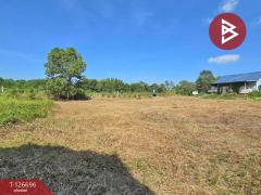 ขายที่ดิน เนื้อที่ 3 ไร่ 2 งาน 30 ตร.วา ท่าช้าง จันทบุรี-202512111709201765447760562.jpg