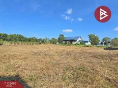 ขายที่ดิน เนื้อที่ 3 ไร่ 2 งาน 30 ตร.วา ท่าช้าง จันทบุรี-202512111709221765447762185.jpg