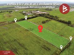 ขายที่ดิน เนื้อที่ 8 ไร่ 2 งาน 45 ตร.วา ประจันตคาม ปราจีนบุรี
