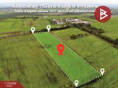 ขายที่ดิน เนื้อที่ 8 ไร่ 2 งาน 45 ตร.วา ประจันตคาม ปราจีนบุรี-202512111727041765448824466.jpg