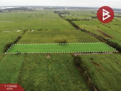 ขายที่ดิน เนื้อที่ 8 ไร่ 2 งาน 45 ตร.วา ประจันตคาม ปราจีนบุรี-202512111727071765448827087.jpg