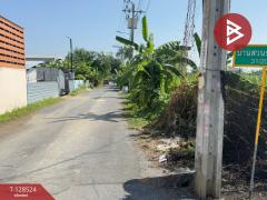 ขายบ้านเดี่ยวชั้นเดียว เนื้อที่ 50 ตร.วา ทวีวัฒนา กรุงเทพมหานคร-202512111747371765450057867.jpg