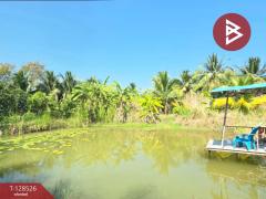 ขายบ้านเดี่ยวพร้อมที่ดิน เนื้อที่ 3 งาน 78 ตร.วา นครชัยศรี นครปฐม-202512111754181765450458843.jpg