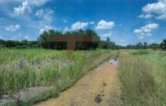 ขายที่ดินว่างเปล่ามือสอง     อำเภอหนองเสือ  ปทุมธานี