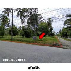 ขายที่ดินว่างเปล่า ถนน มะม่วงทอง ตำบล ปากพูน อำเภอ เมืองนครศรีธรรมราช จังหวัด นครศรีธรรมราช