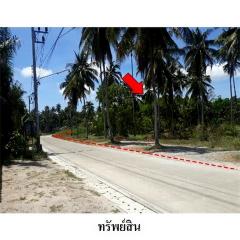 ขายที่ดินว่างเปล่า ซอยอ่าวขนอมซอย 4 ถ.ศิริสุข ตำบล ขนอม อำเภอ ขนอม จ.นครศรีธรรมราช