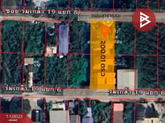 ขายสำนักงาน เนื้อที่ 2 งาน 1 ตร.วา ลาดกระบัง กรุงเทพมหานคร-202512120951011765507861636.jpg