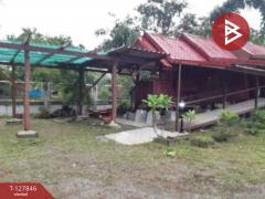 ขายบ้านเดี่ยวพร้อมที่ดิน เนื้อที่ 3 งาน 32 ตร.วา แปลงยาว ฉะเชิงเทรา