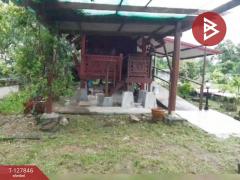 ขายบ้านเดี่ยวพร้อมที่ดิน เนื้อที่ 3 งาน 32 ตร.วา แปลงยาว ฉะเชิงเทรา-202512120951231765507883582.jpg