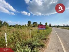 ขายด่วนที่ดิน เนื้อที่ 43 ไร่ 2 งาน 18 ตารางวา อ.โนนสัง หนองบัวลำภู ทำเลดี