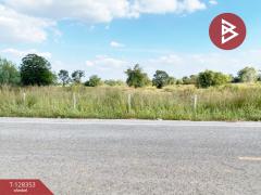 ขายด่วนที่ดิน เนื้อที่ 43 ไร่ 2 งาน 18 ตารางวา อ.โนนสัง หนองบัวลำภู ทำเลดี-202512121006281765508788584.jpg