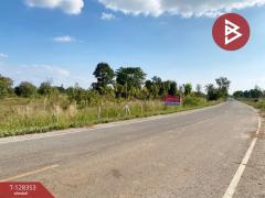 ขายด่วนที่ดิน เนื้อที่ 43 ไร่ 2 งาน 18 ตารางวา อ.โนนสัง หนองบัวลำภู ทำเลดี-202512121006291765508789116.jpg