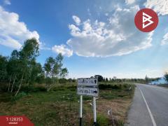 ขายด่วนที่ดิน เนื้อที่ 43 ไร่ 2 งาน 18 ตารางวา อ.โนนสัง หนองบัวลำภู ทำเลดี-202512121006291765508789646.jpg