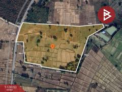 ขายด่วนที่ดิน เนื้อที่ 43 ไร่ 2 งาน 18 ตารางวา อ.โนนสัง หนองบัวลำภู ทำเลดี-202512121006301765508790172.jpg