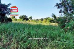 ที่ดินเปล่า เนื้อที่ 12-3-92.7 ไร่ ติดถนน Highway เส้น 3225 และ 3050 (ใกล้วัดพะเยาว์) ตำบลศาลารีไทย อำเภอเสาไห้ สระบุรี-202512121019431765509583957.jpg