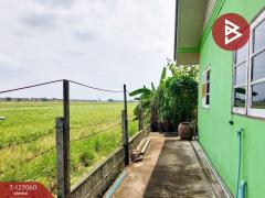 ขายบ้านเดี่ยวชั้นเดียว เนื้อที่ 50 ตารางวา ลำลูกกา ปทุมธานี-202512121052411765511561371.jpg