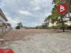 ขายที่ดินพร้อมสิ่งปลูกสร้าง เนื้อที่ 2 ไร่ 1 งาน 52.6 ตารางวา เกาะขวาง จันทบุรี-202512121235261765517726382.jpg