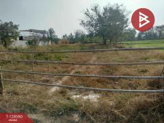 ขายที่ดิน เนื้อที่ 2 งาน 50 ตร.วา ลาดพัฒนา มหาสารคาม